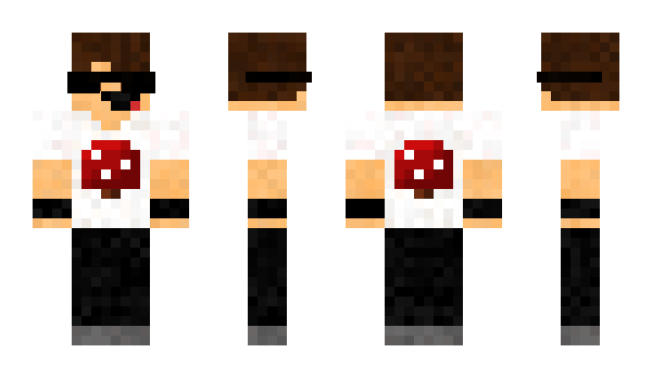 Minecraft skin Jornalista