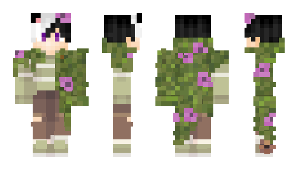 Minecraft skin Ariverse