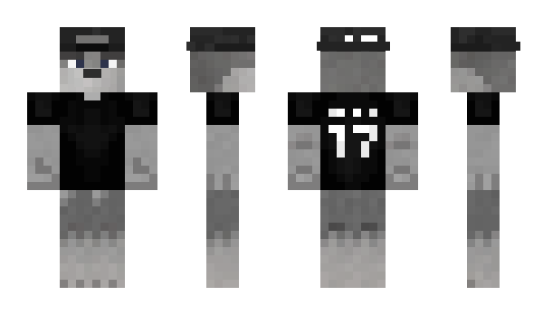 Minecraft skin kingk3r3