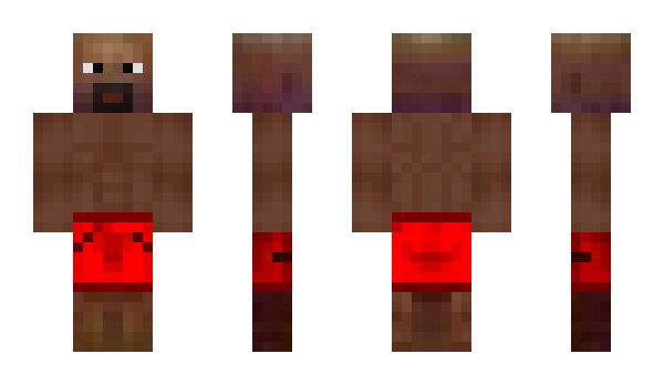 Minecraft skin Snegi