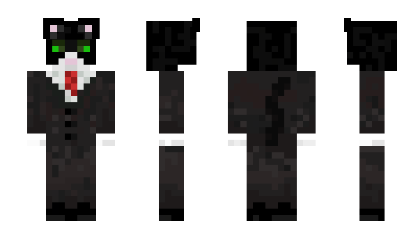 Minecraft skin TheMeower