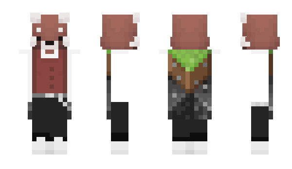 Minecraft skin Haozel