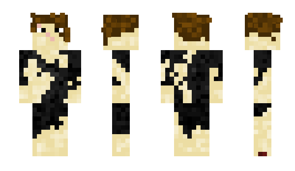 Minecraft skin Sensei_Tiger
