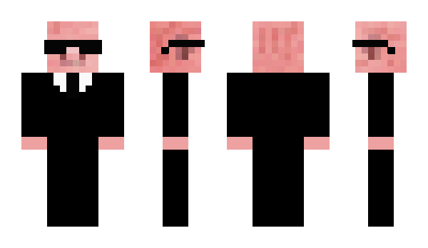 Minecraft skin ELS1