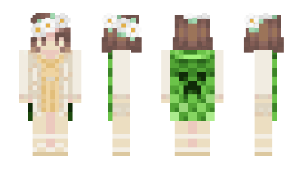 Minecraft skin Enaryllidaceae