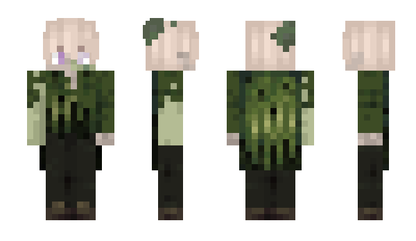 Minecraft скин по нику 18x6