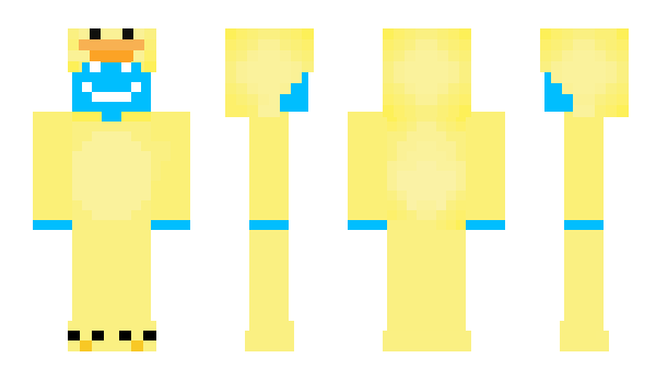 Minecraft skin DS22