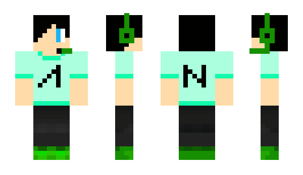 Minecraft skin Hokston