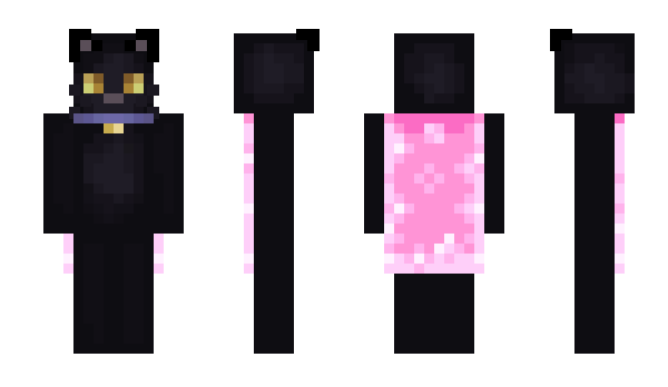 Minecraft skin Ash___