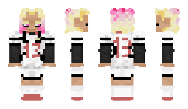 Minecraft skin F10A