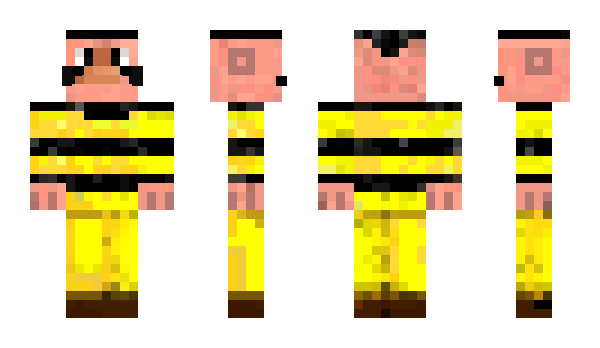 Minecraft skin avrell