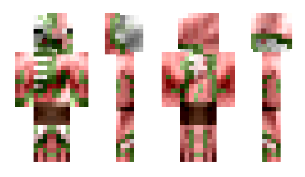 Minecraft skin jellejan263