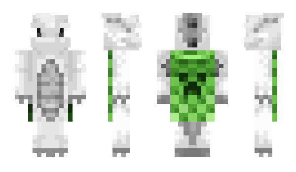 Minecraft skin vgxz