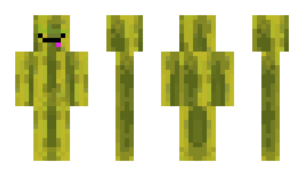 Minecraft skin QuiSan