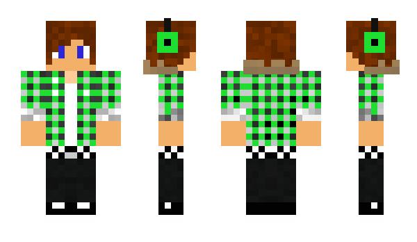 Minecraft skin minamita