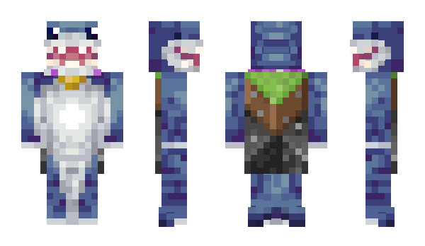 Minecraft skin 12dk