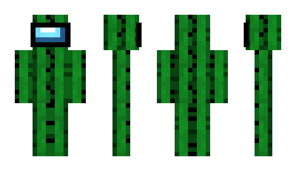 Minecraft skin Cactus171