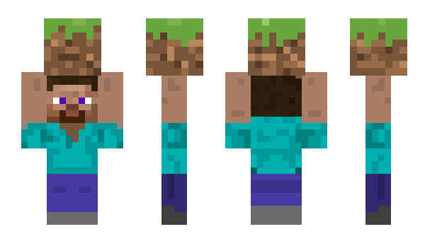 Minecraft skin GrassShop