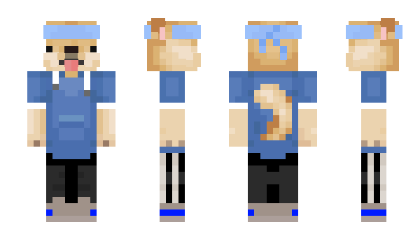 Minecraft skin VisselSchalker