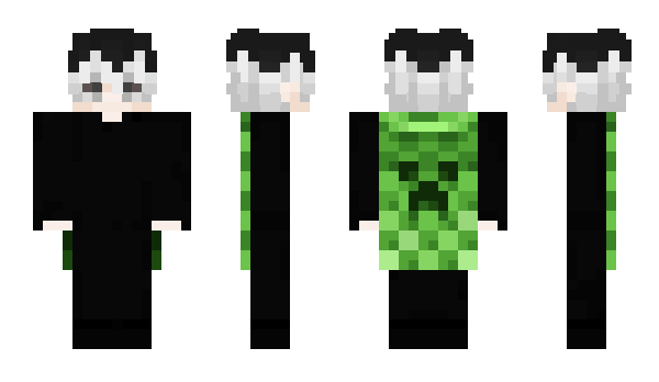 Minecraft skin tlg_