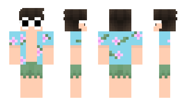 Minecraft skin Tzinbro