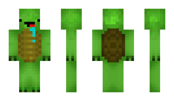 Minecraft skin Mr_Turtle