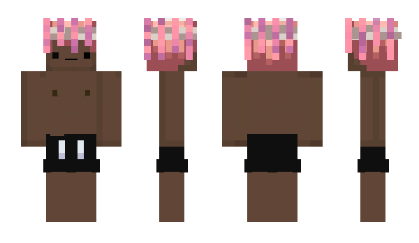 Minecraft skin HamensTWC