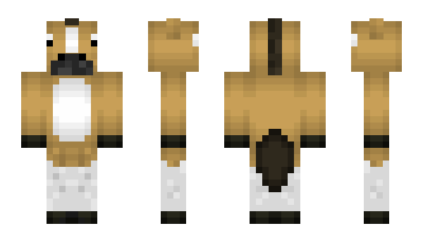 Minecraft skin Horshe