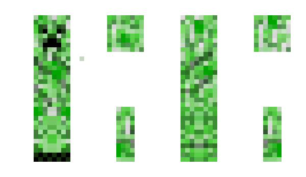 Minecraft скин по нику wizard809