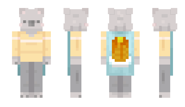 Minecraft skin KoalaRocksAll