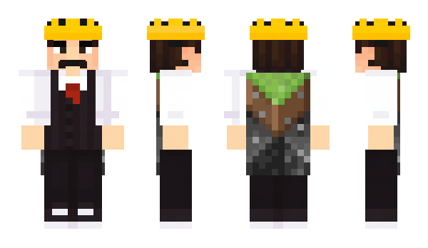 Minecraft skin QueenIsBest8080