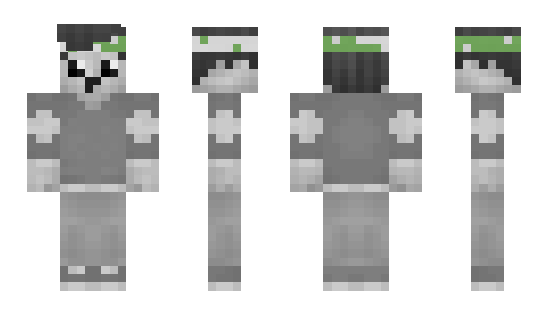 Minecraft skin Evrom