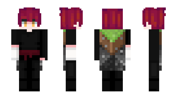 Minecraft скін по ніку housweet