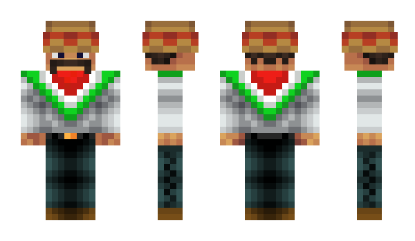 Minecraft skin Mrmekcekano
