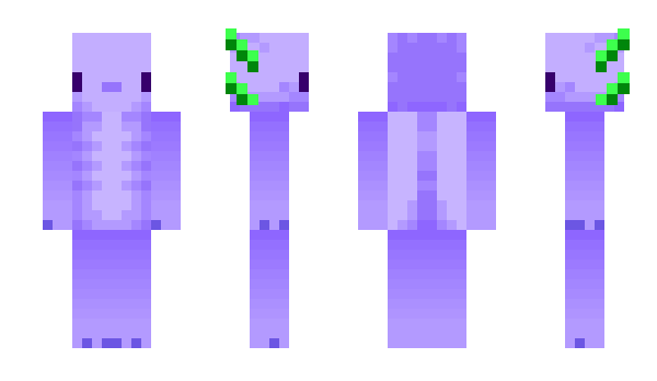 Minecraft skin axolotl00