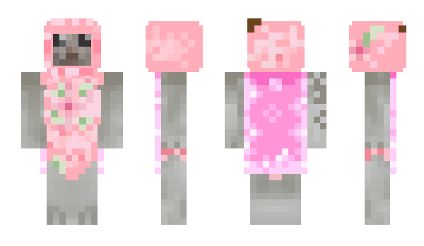Minecraft skin popseh
