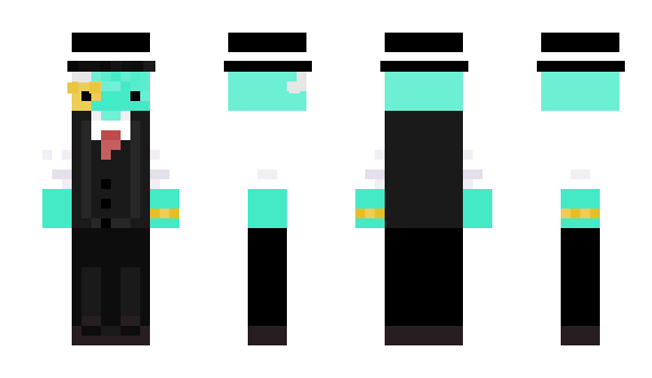 Minecraft skin srdz