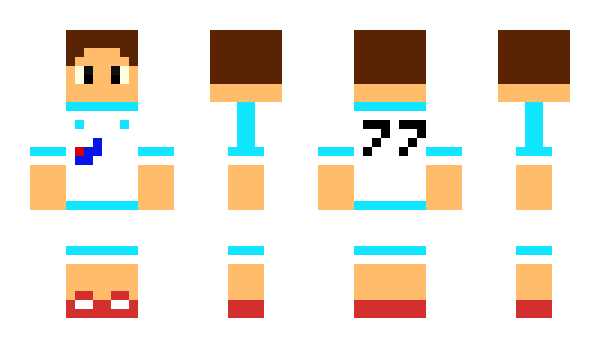 Minecraft skin Nary_Ytb