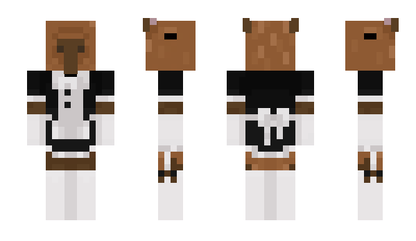 Minecraft skin miquale