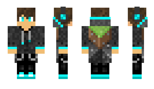 Minecraft skin sky10dd