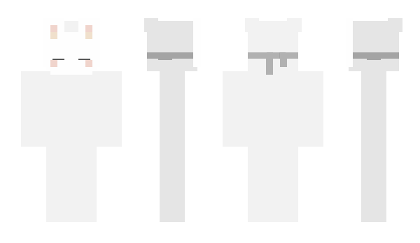 Minecraft skin Rinckk