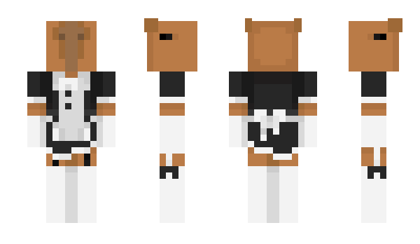 Minecraft skin mr_capivara69