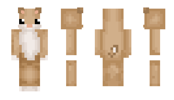 Minecraft skin IKillTheHomeless