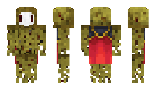 Minecraft skin 45621