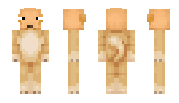 Minecraft skin roodrixxz