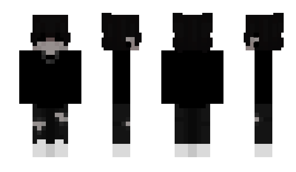 Minecraft skin aecor