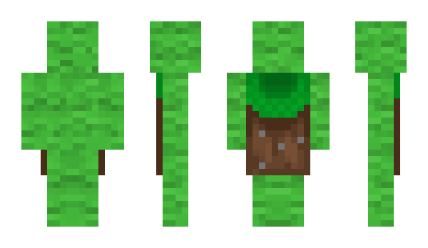 Minecraft skin t8ht
