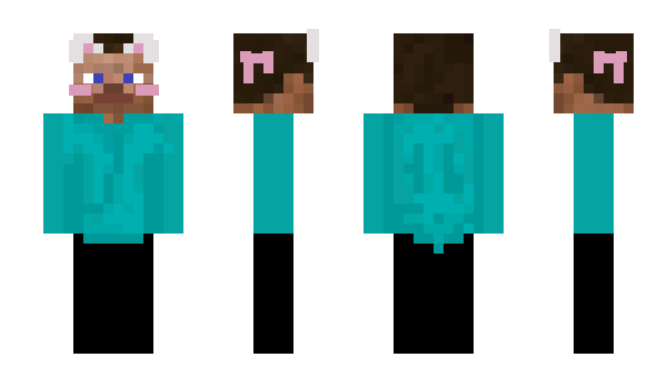 Minecraft skin vmsr