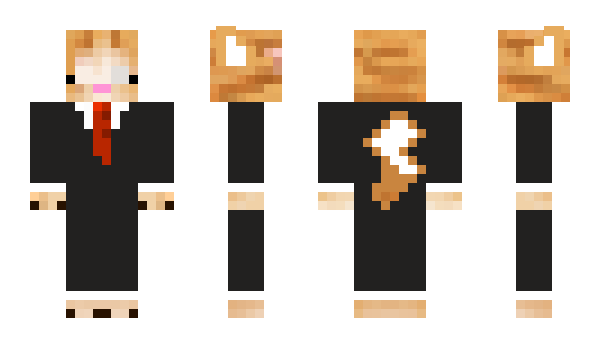 Minecraft skin Norser