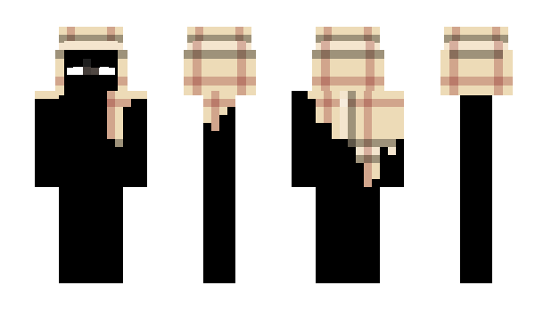 Minecraft skin Panda_driver